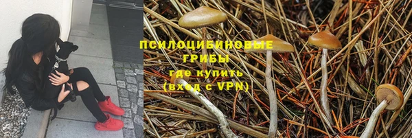 ALPHA-PVP Алексеевка