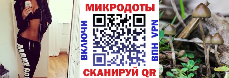 наркошоп  blacksprut рабочий сайт  Галлюциногенные грибы Psilocybine cubensis  Александровск 
